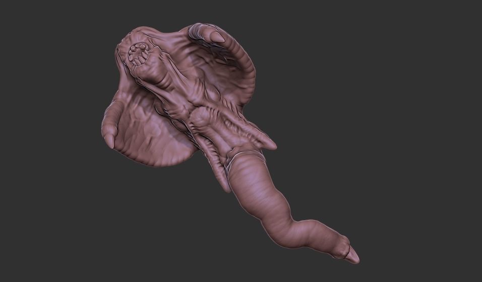 Xenoteras Parasyte Wyrm and Flying Swarms 3D print model_21