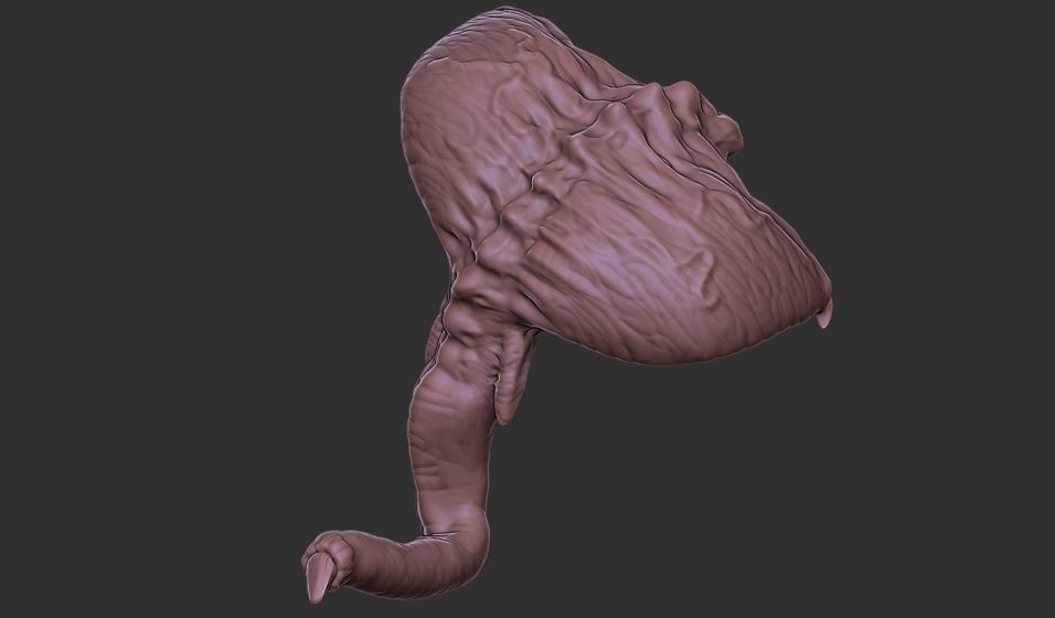 Xenoteras Parasyte Wyrm and Flying Swarms 3D print model_13