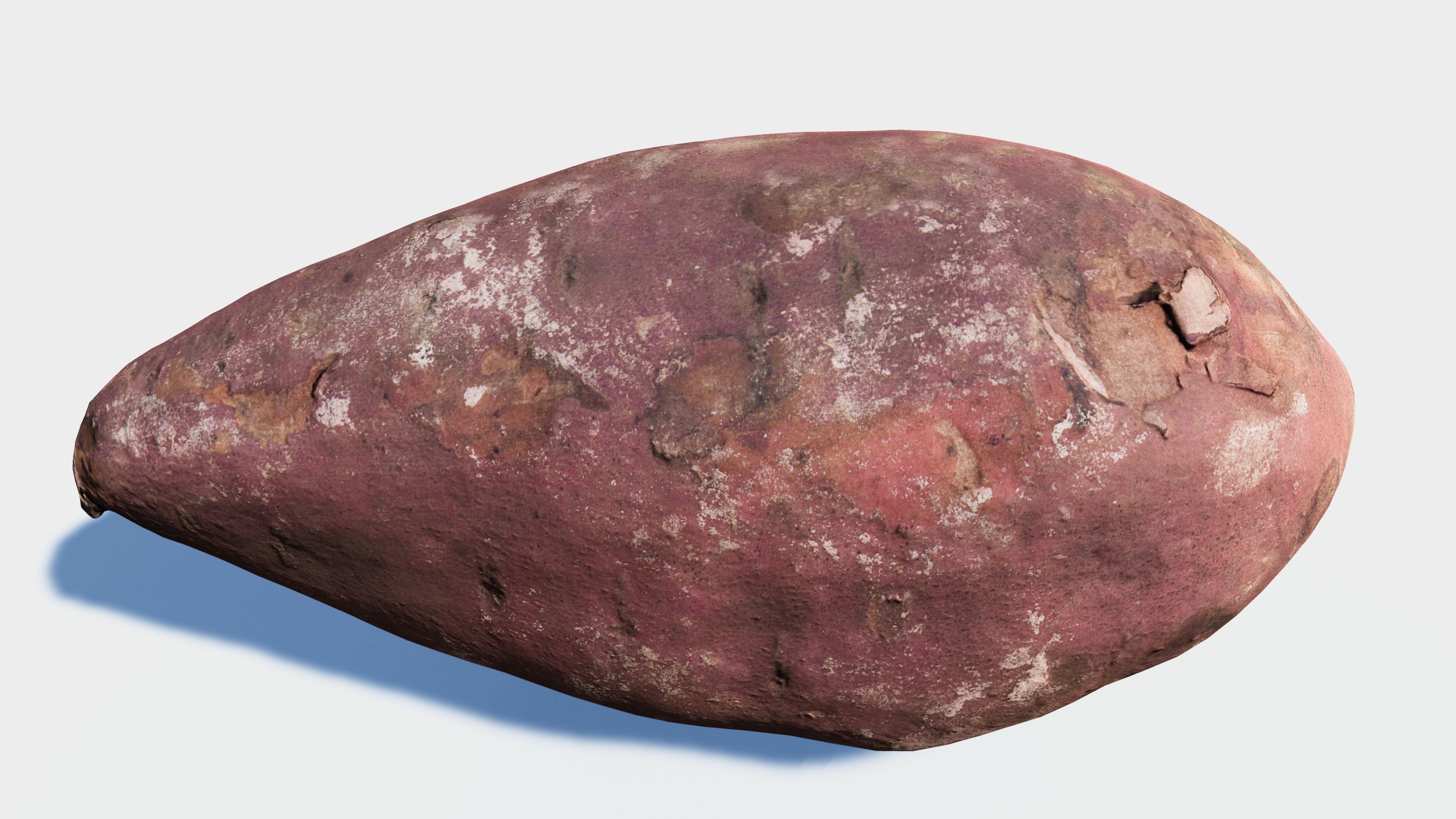 Sweet Potato photogrammetry scan Low-poly 3D model_4