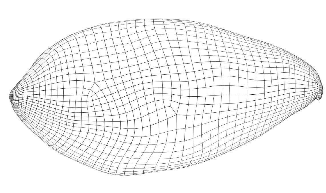 Sweet Potato photogrammetry scan Low-poly 3D model_7