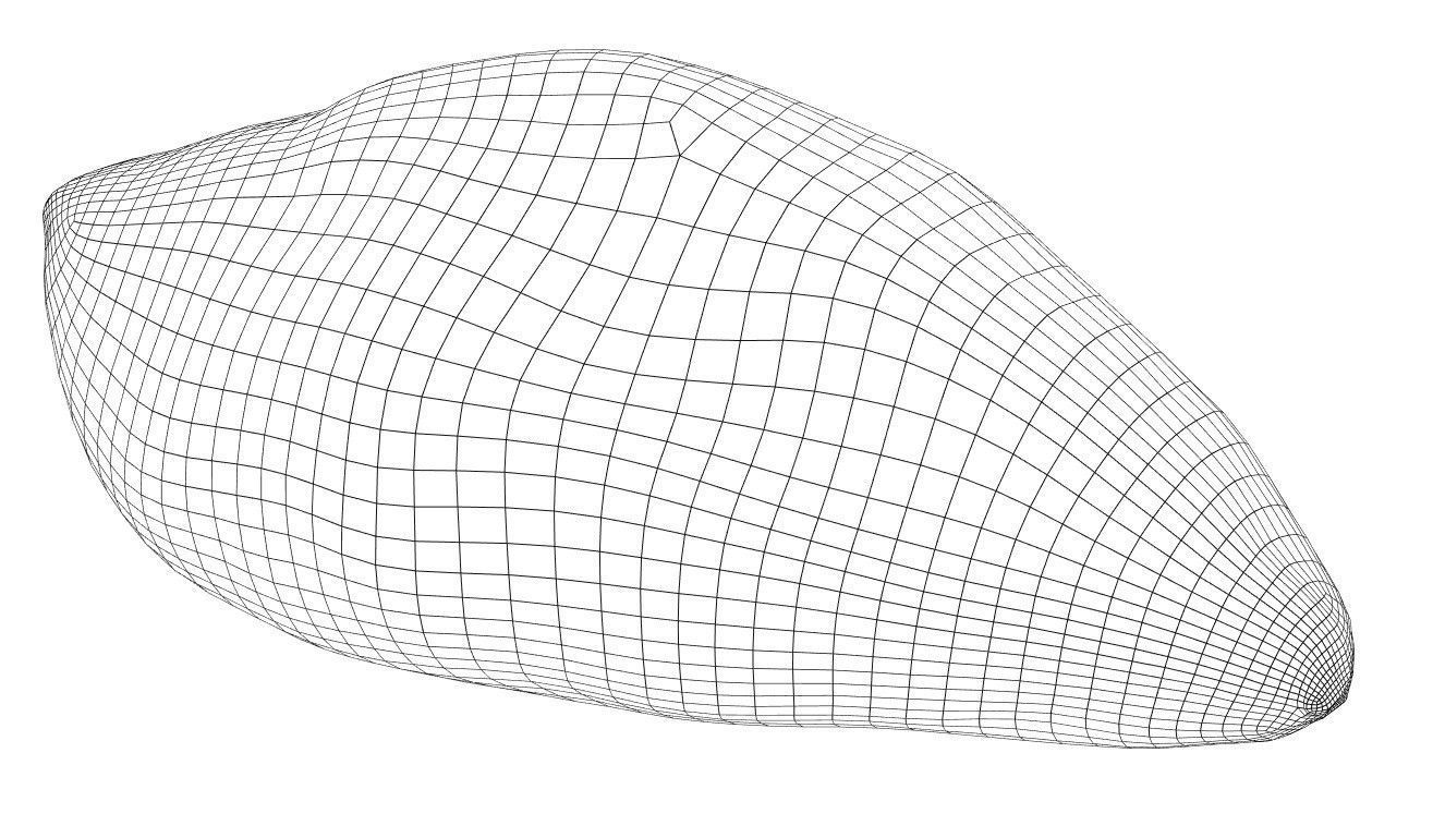 Sweet Potato photogrammetry scan Low-poly 3D model_5