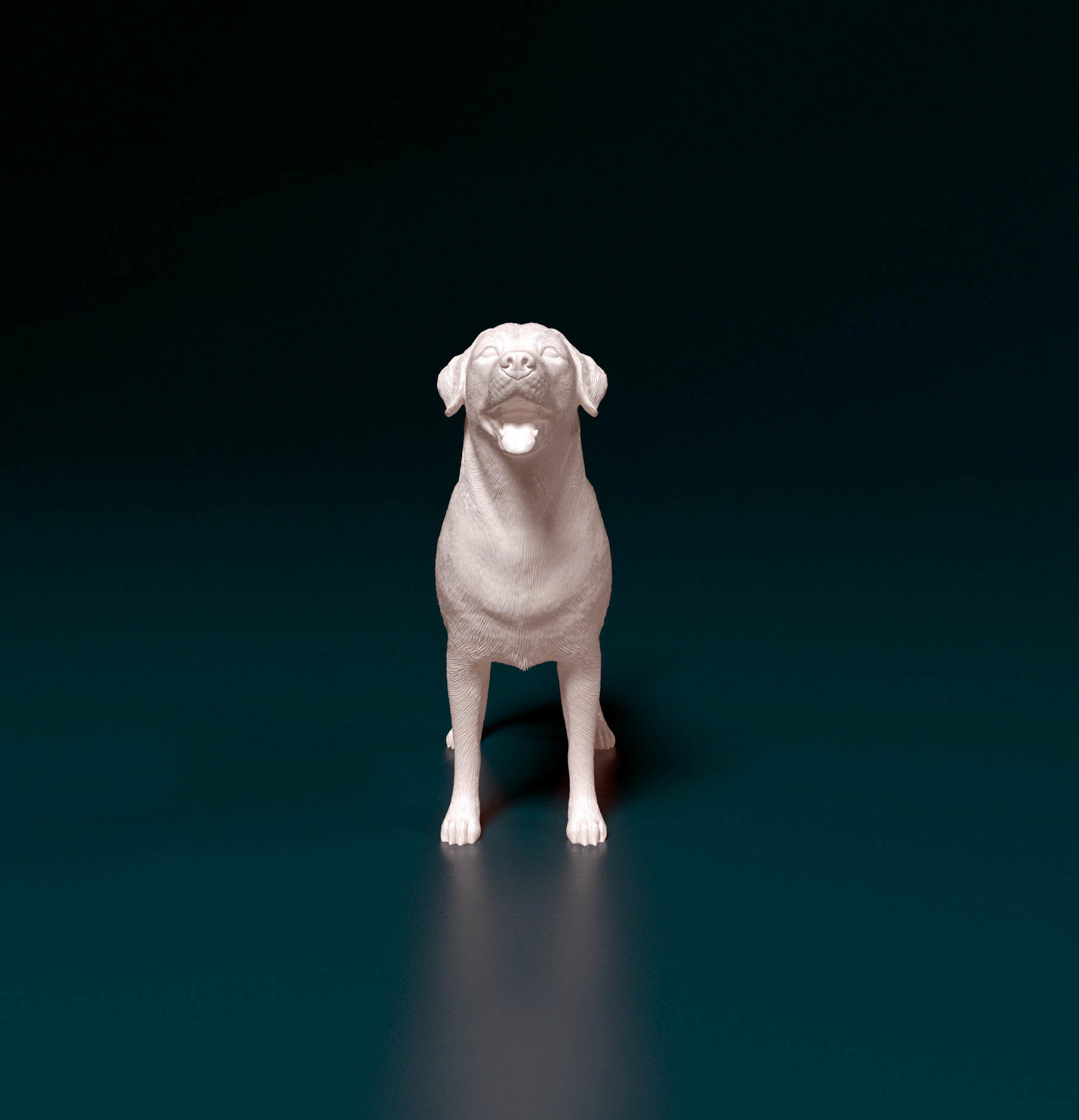 Labrador 4 retriever 3D print model_5