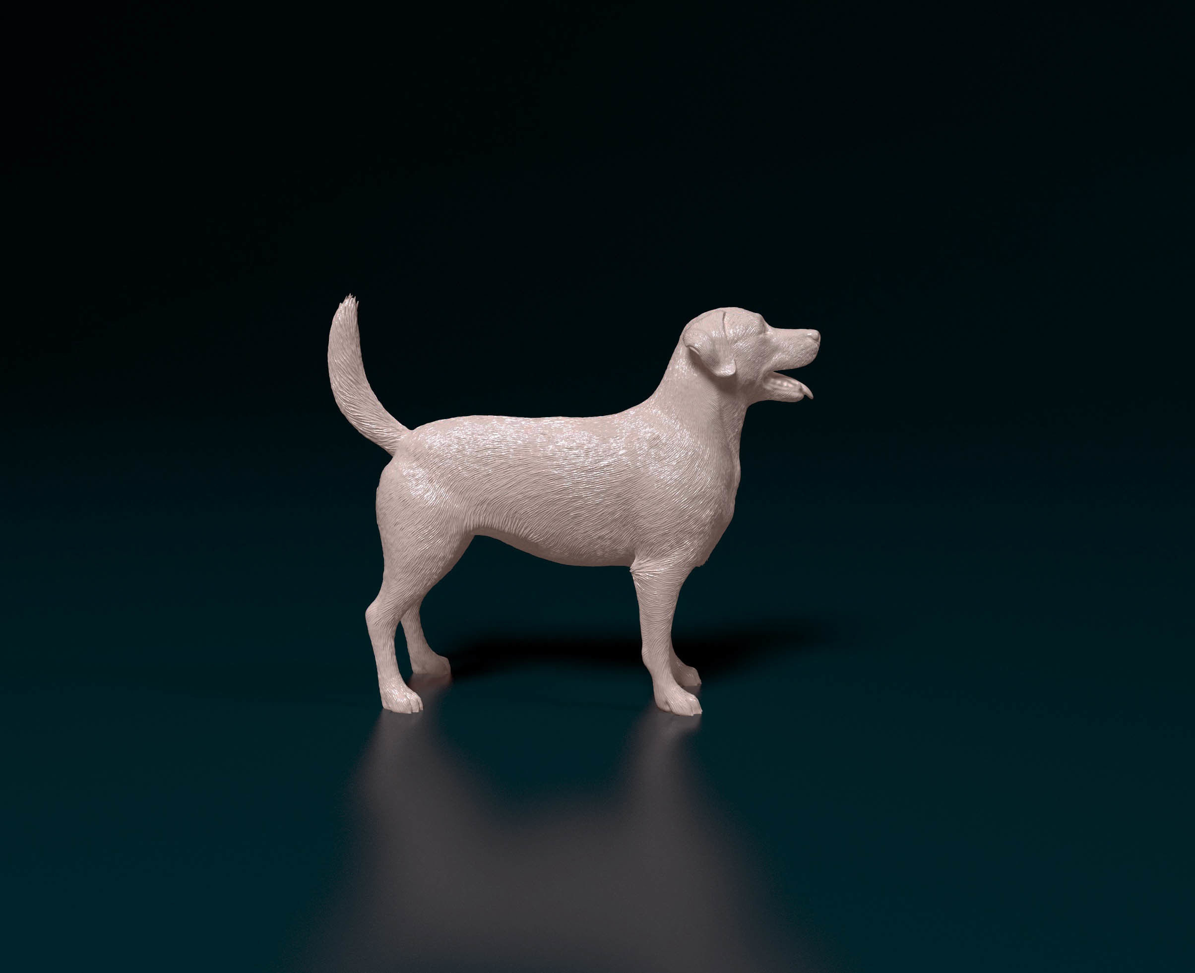 Labrador 4 retriever 3D print model_1