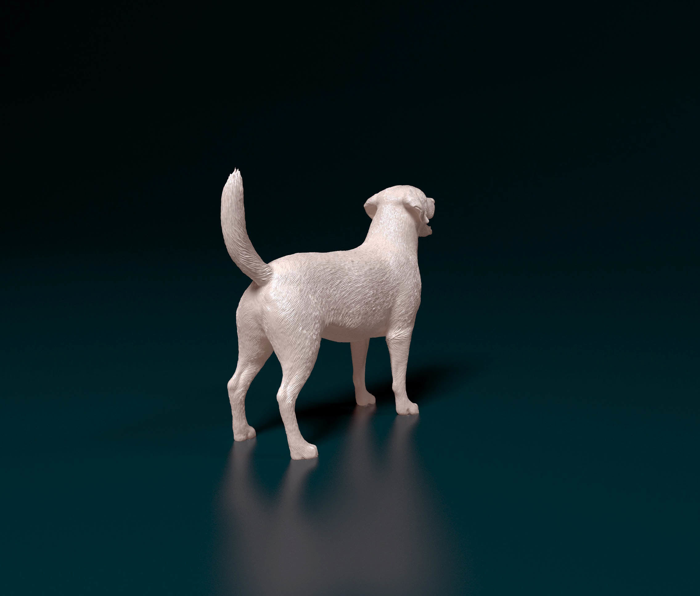 Labrador 4 retriever 3D print model_2