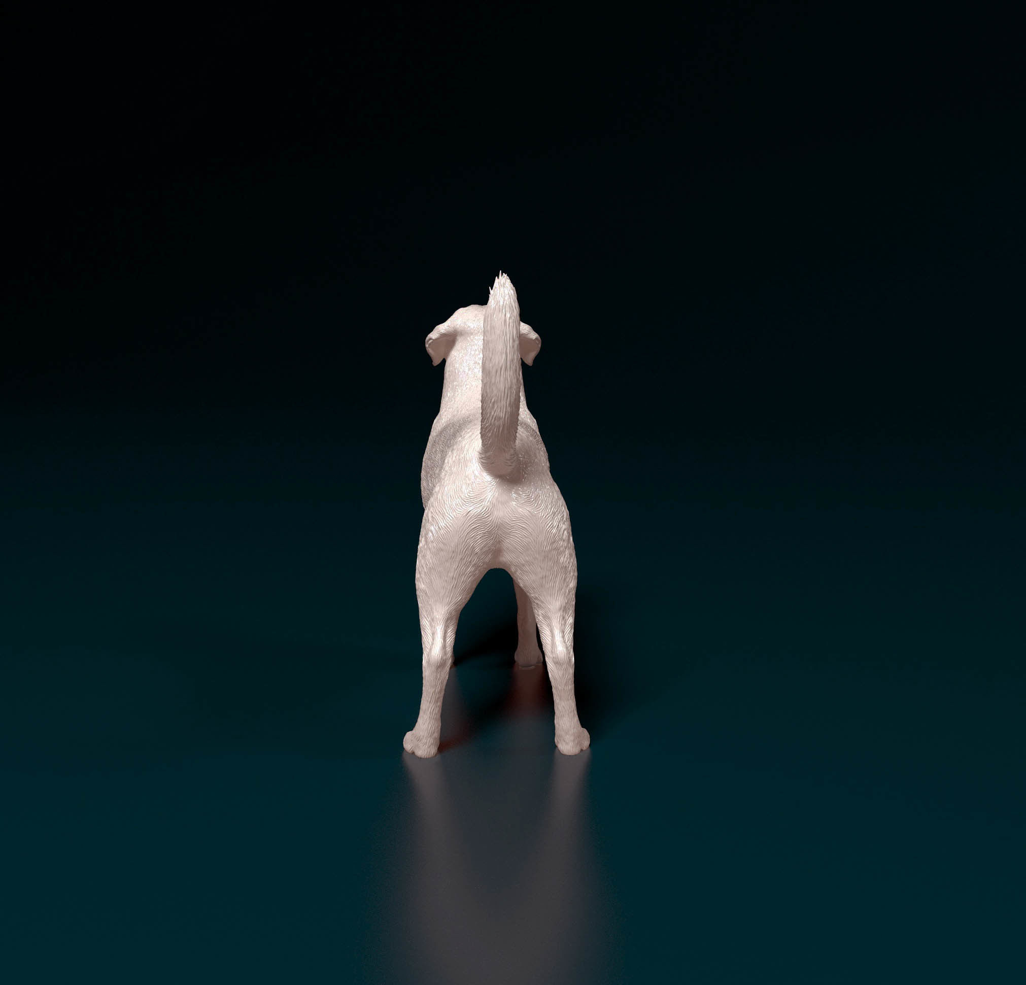 Labrador 4 retriever 3D print model_3