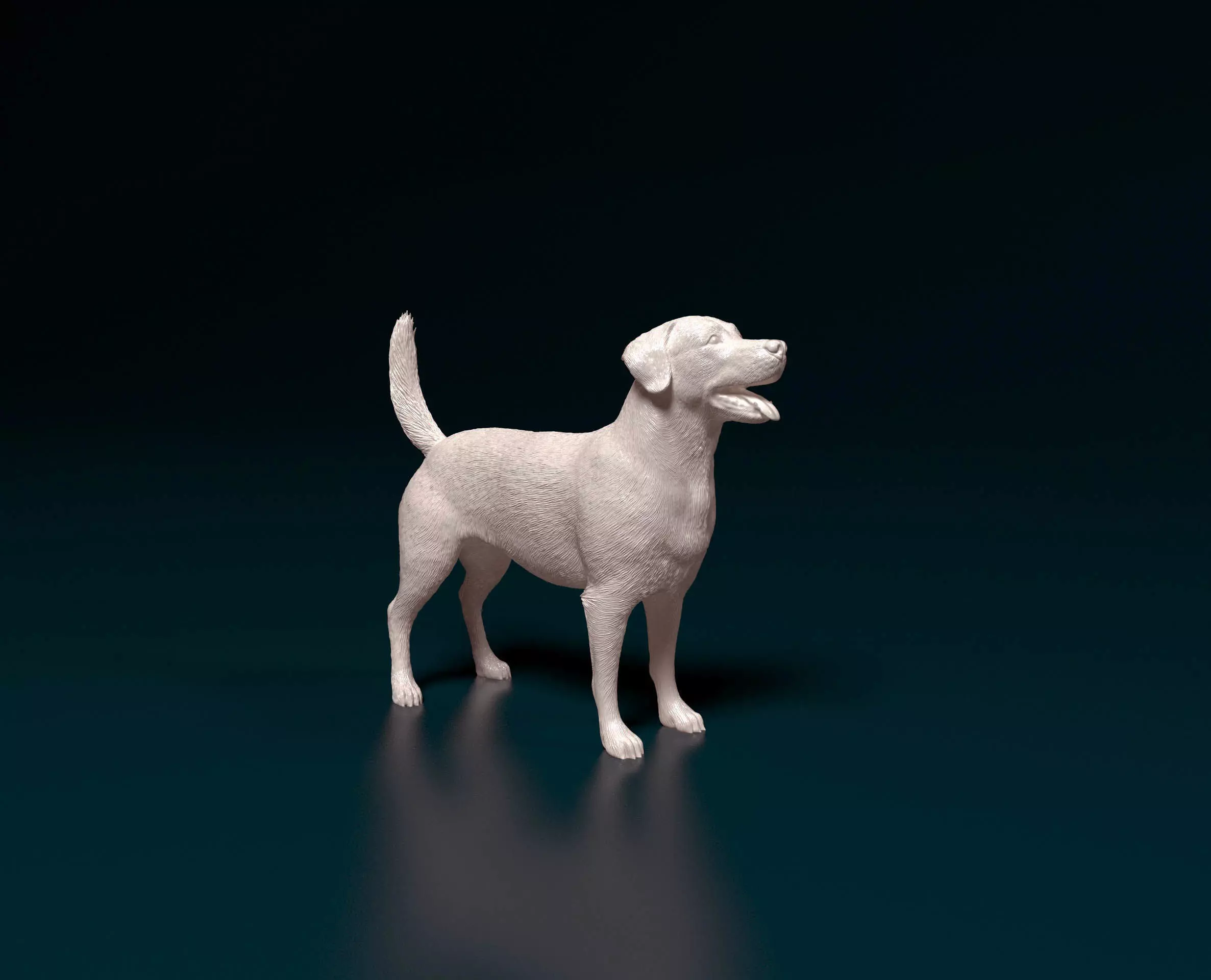 Labrador 4 retriever 3D print model_0