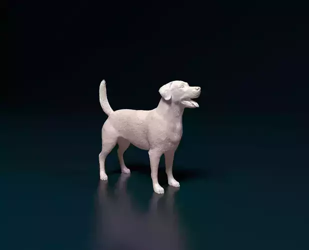 Labrador 4 retriever 3D print model