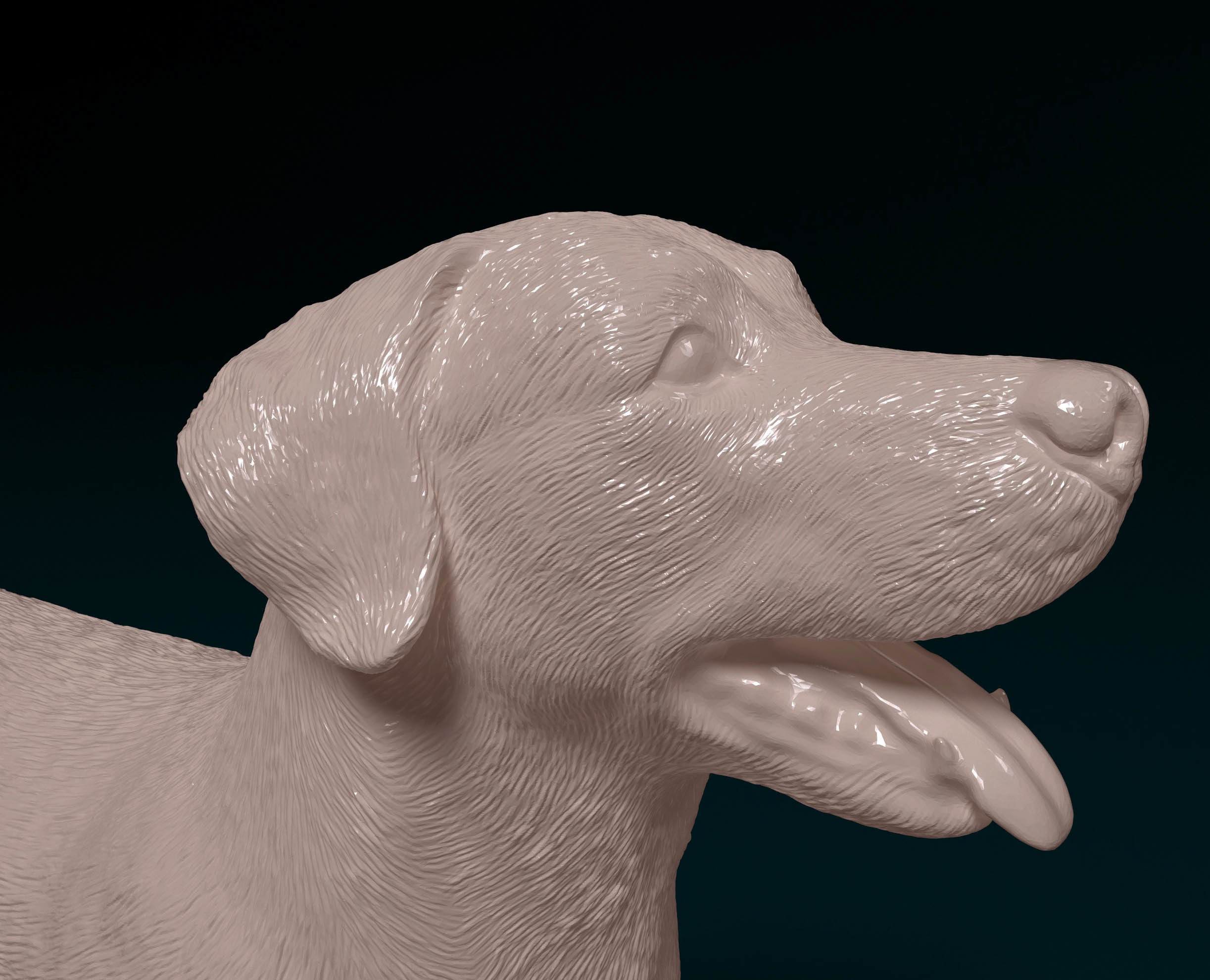 Labrador 4 retriever 3D print model_6