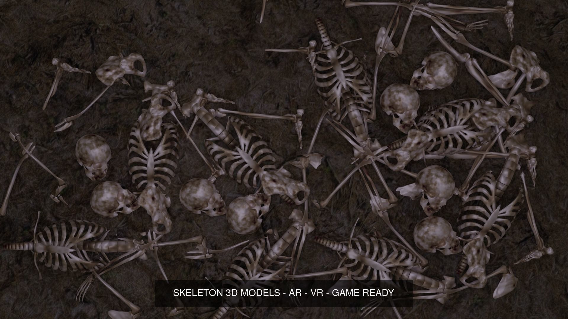 UNIVERSAL BONE PACK 3D Model Collection_4