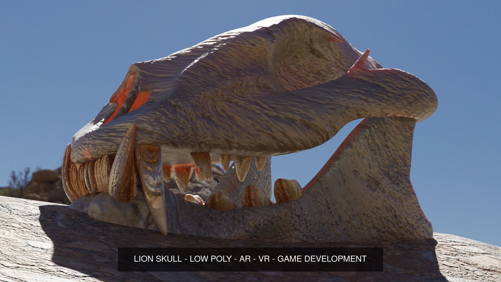 UNIVERSAL BONE PACK 3D Model Collection_3