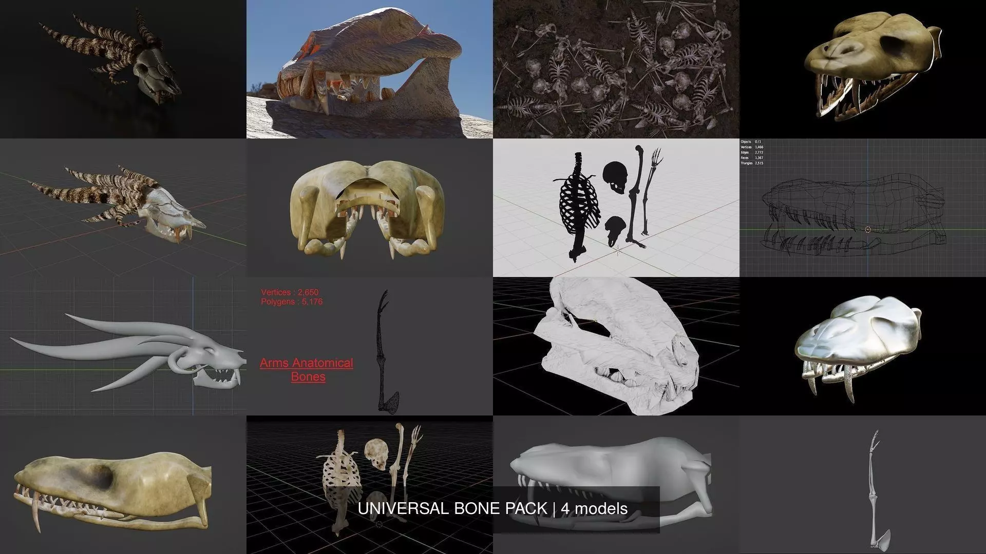 UNIVERSAL BONE PACK 3D Model Collection_1