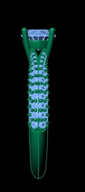 Ring iz15 3D print model_6