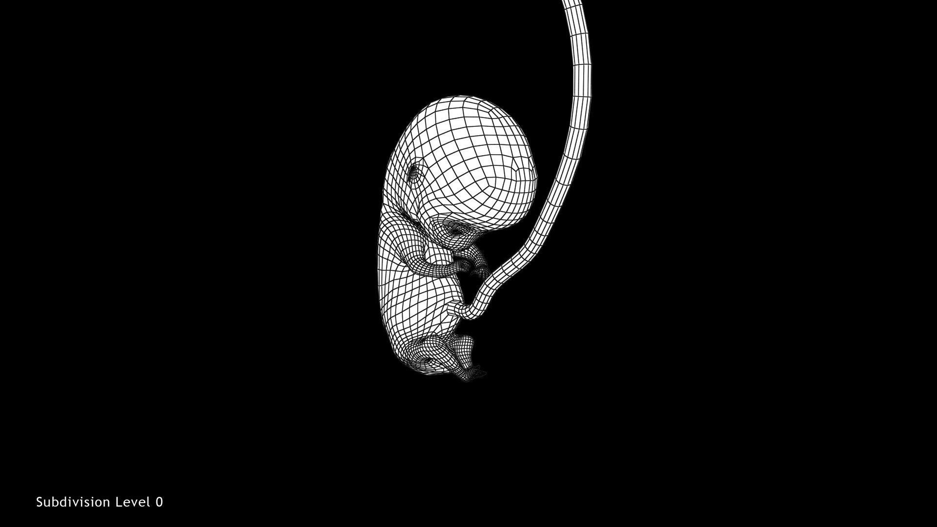 3D model 10 Weeks Human Fetus VR / AR / low-poly | CGTrader