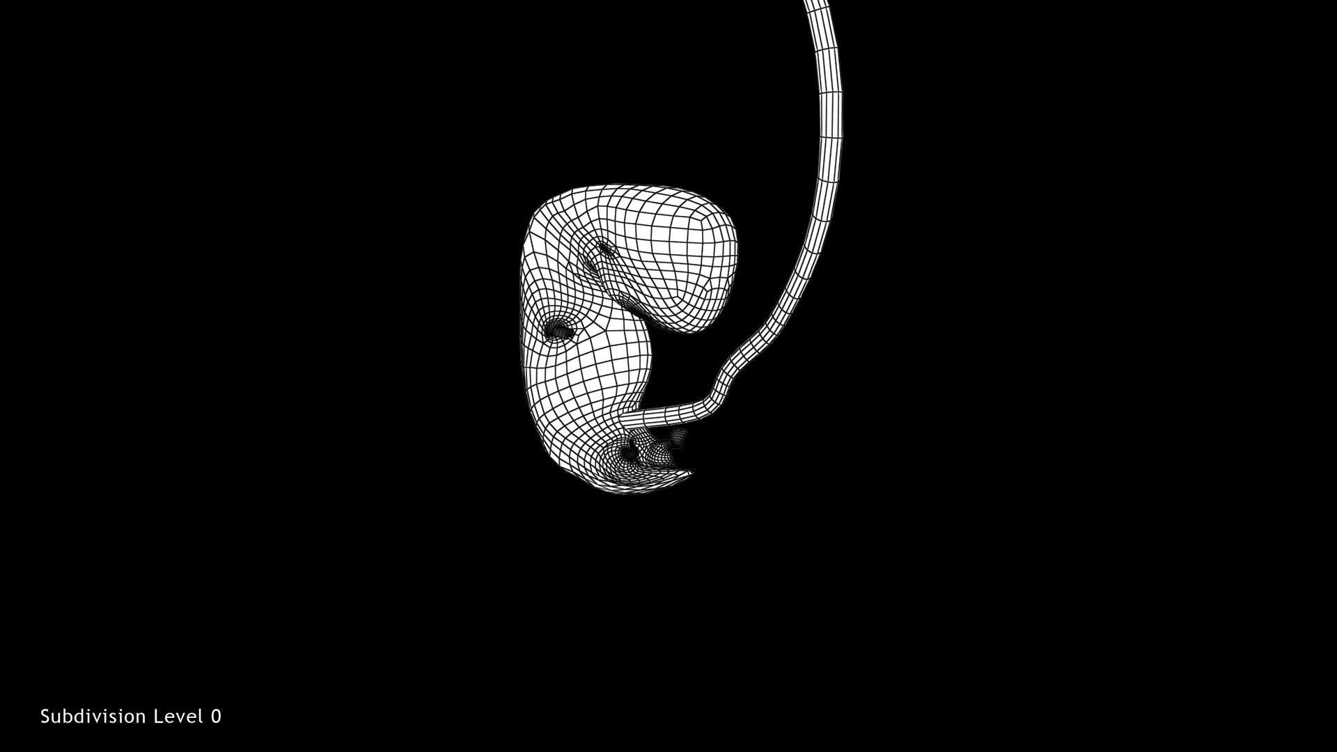 3D model 6 Weeks Human Fetus VR / AR / low-poly | CGTrader