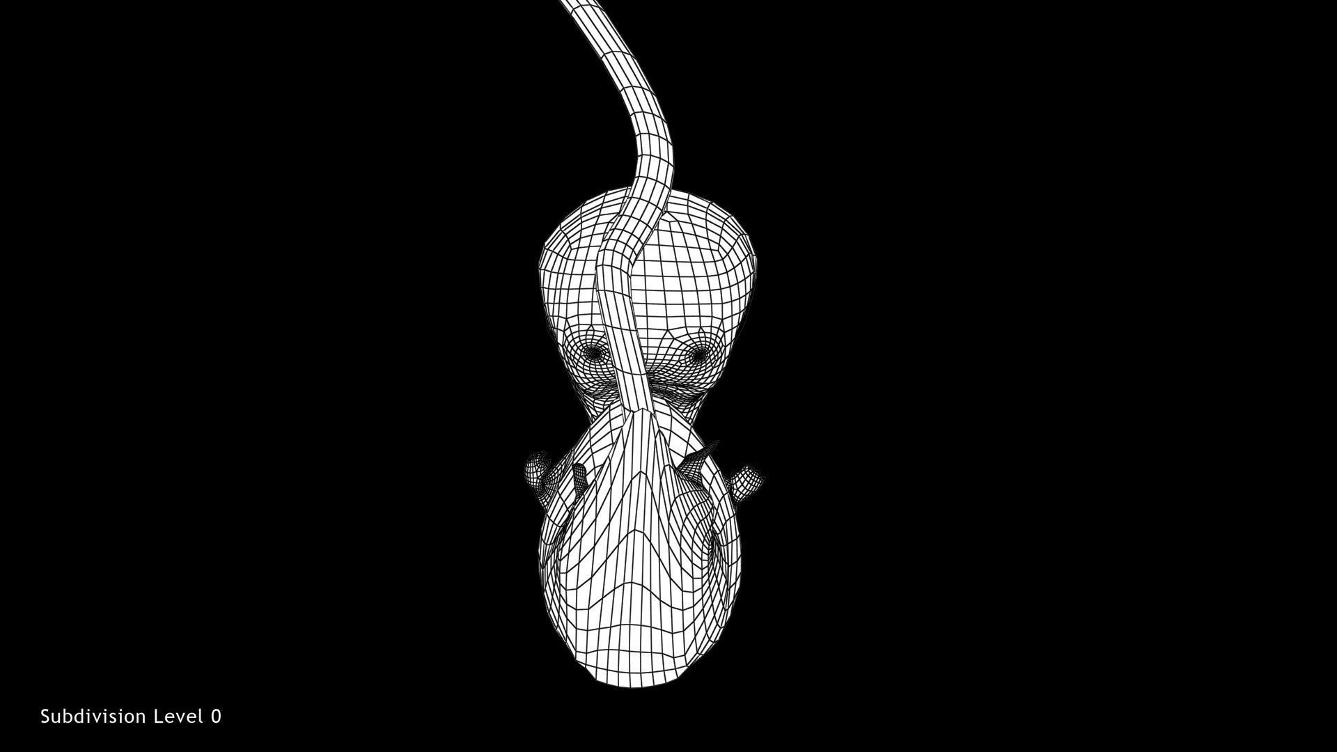 3D model 6 Weeks Human Fetus VR / AR / low-poly | CGTrader