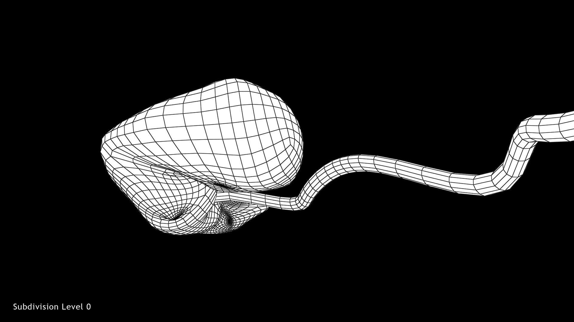 3D model 5 Weeks Human Fetus VR / AR / low-poly | CGTrader