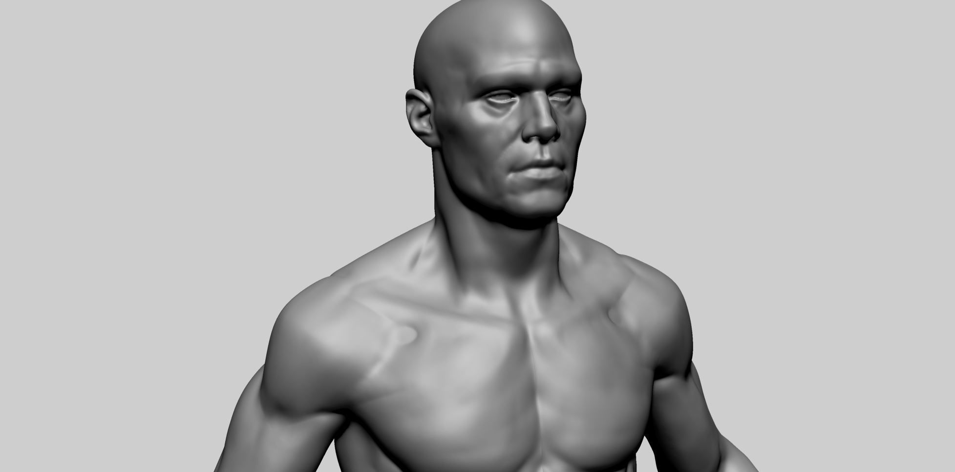 Base Male Anatomy B 3D model_9