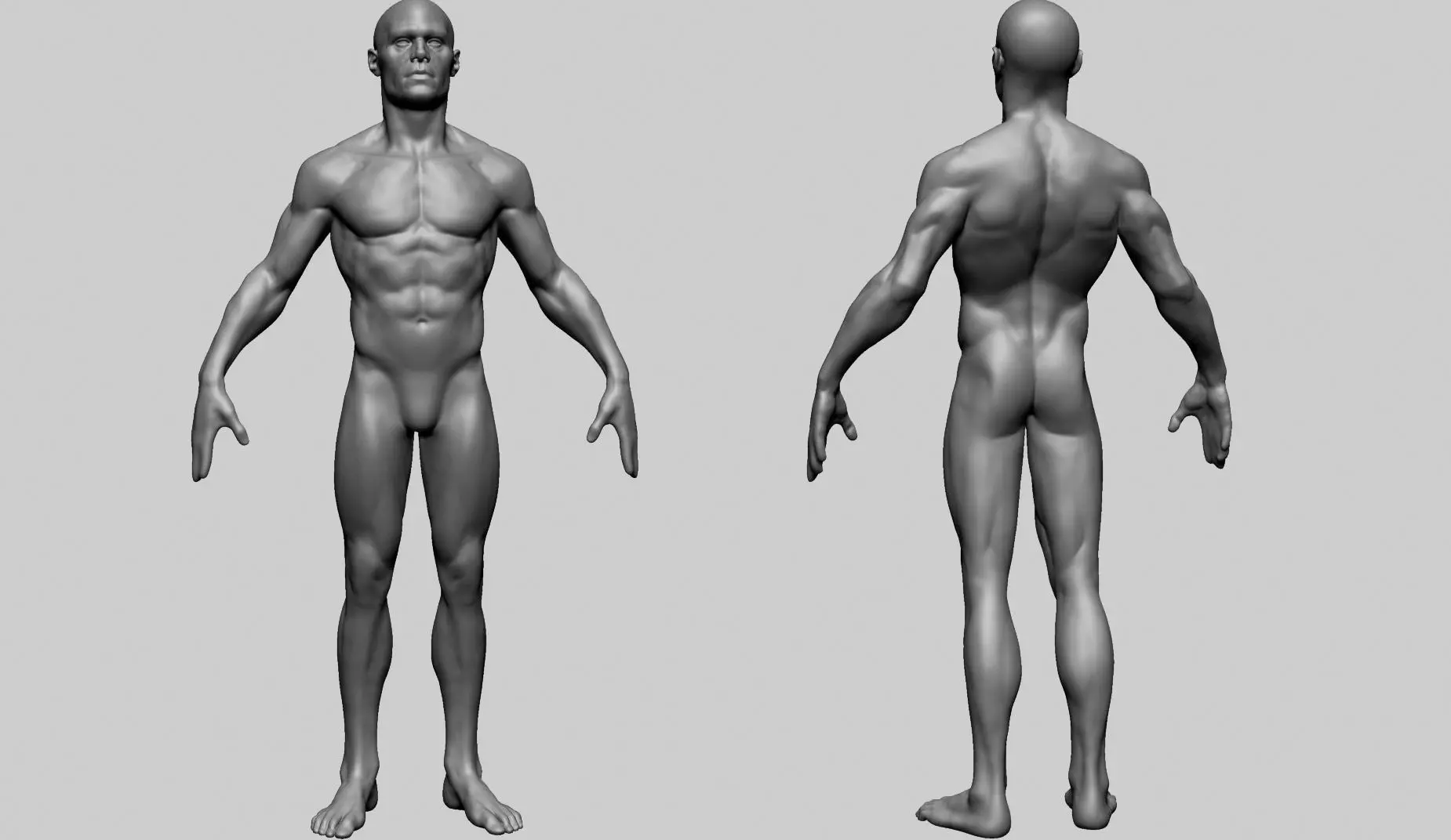 Base Male Anatomy B 3D model_0