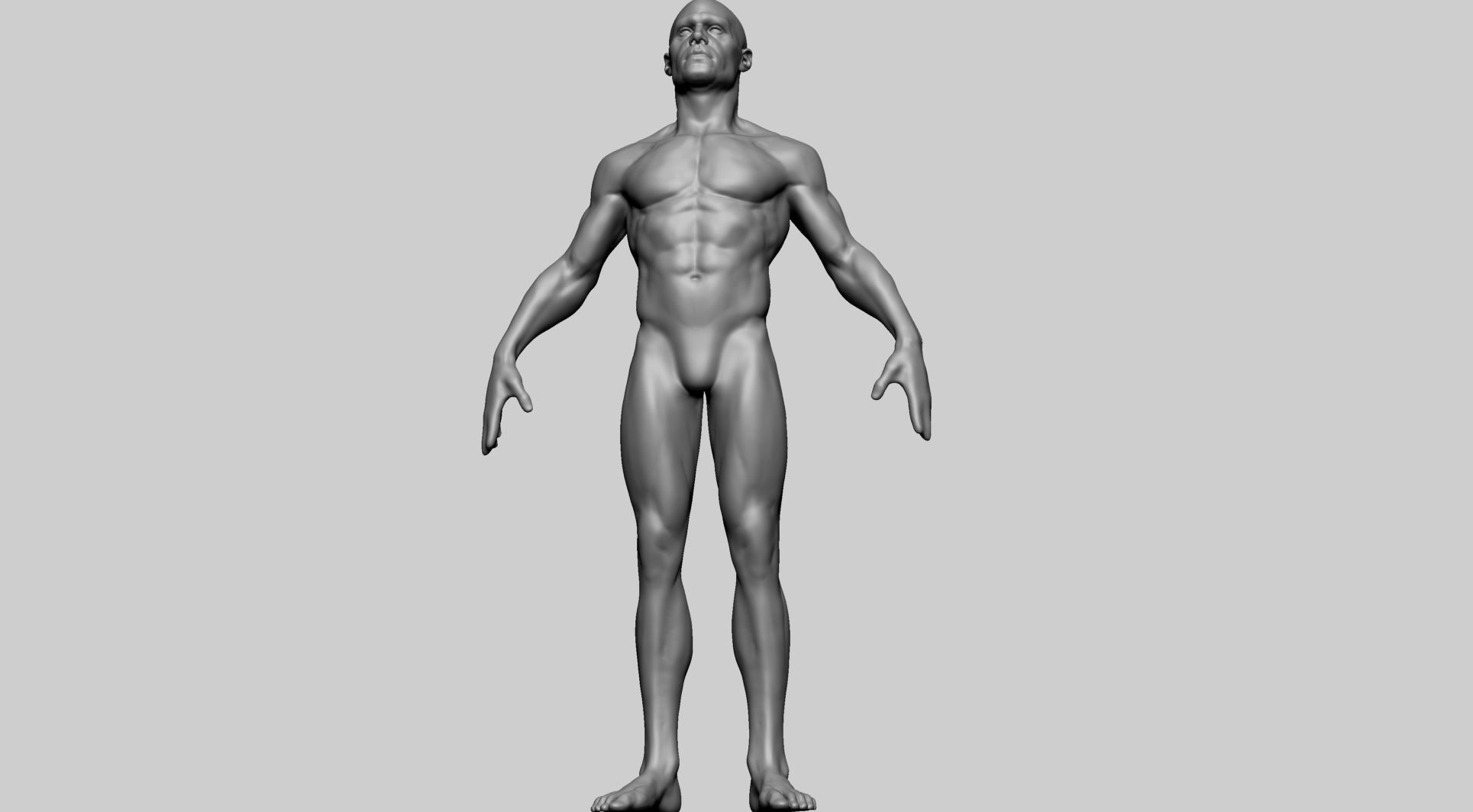 Base Male Anatomy B 3D model_8
