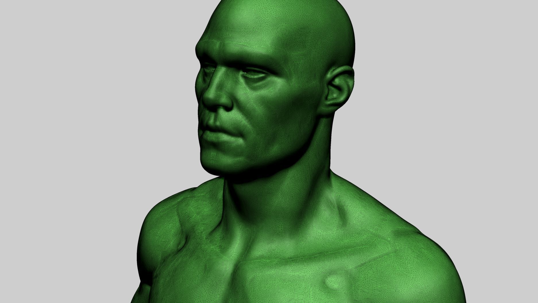 Base Male Anatomy B 3D model_11
