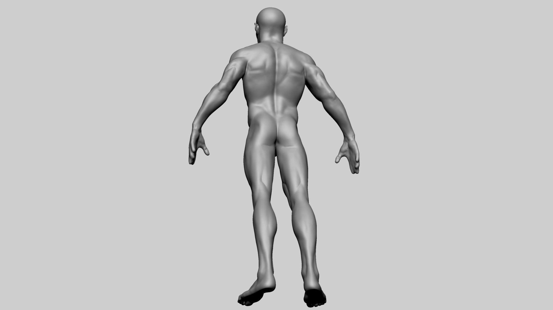 Base Male Anatomy B 3D model_7