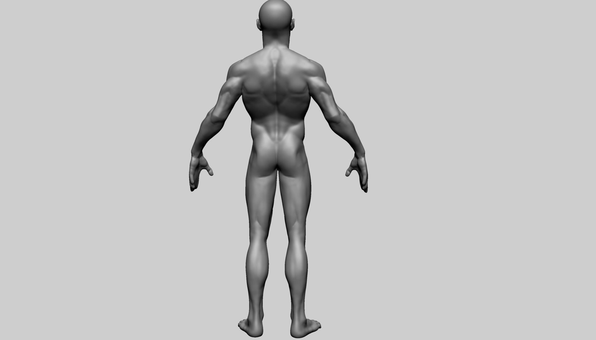 Base Male Anatomy B 3D model_6