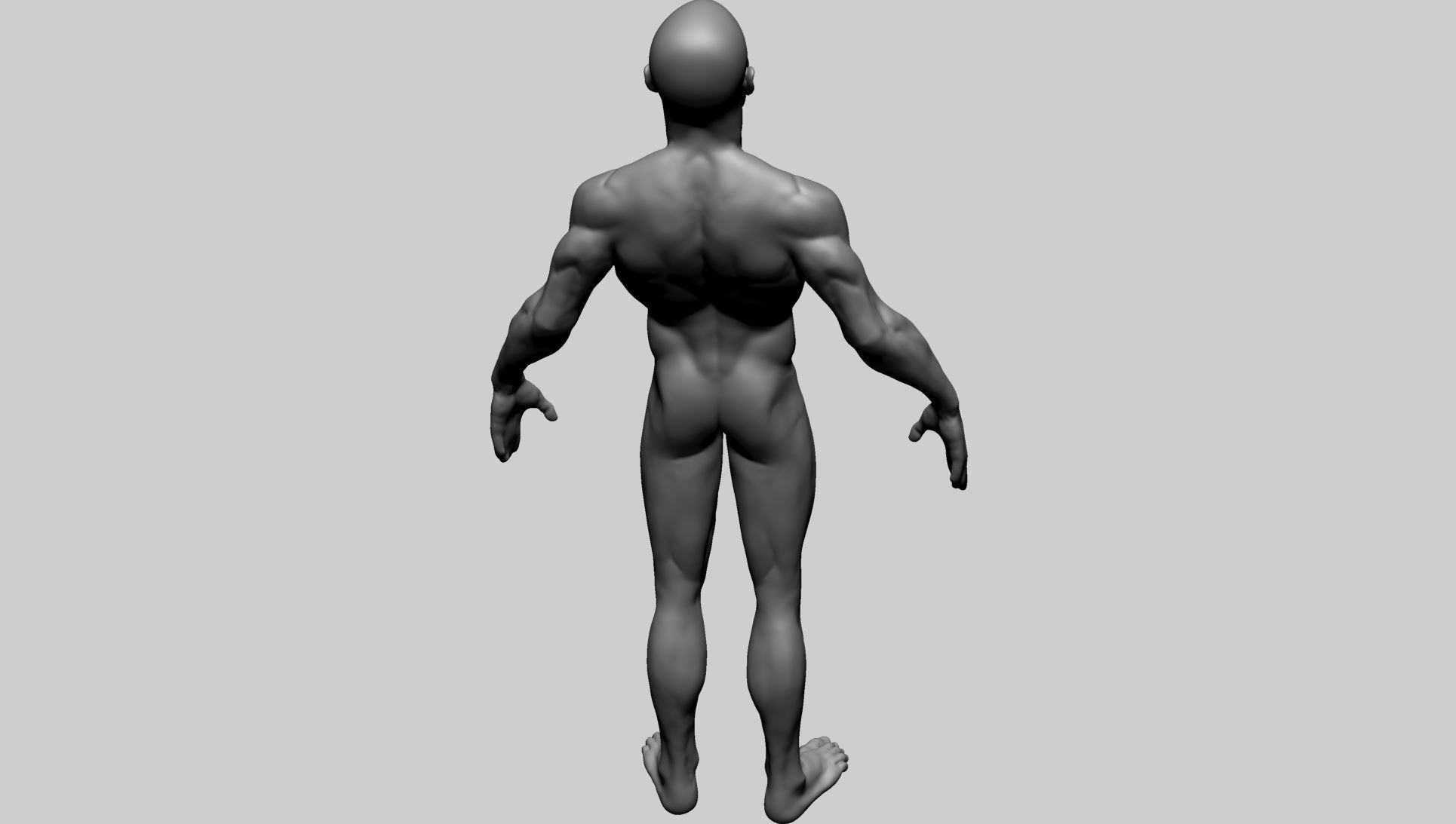 Base Male Anatomy B 3D model_5
