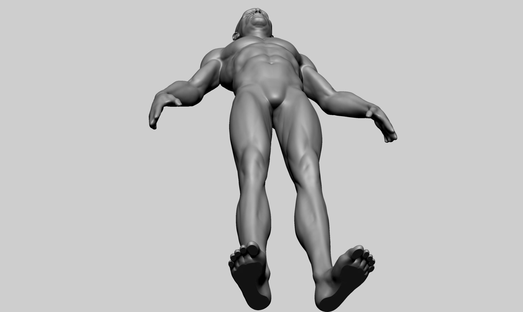 Base Male Anatomy B 3D model_12