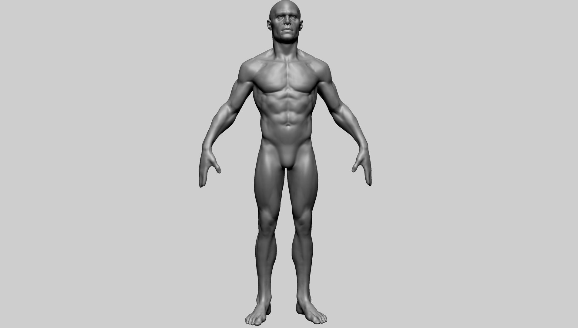 Base Male Anatomy B 3D model_1