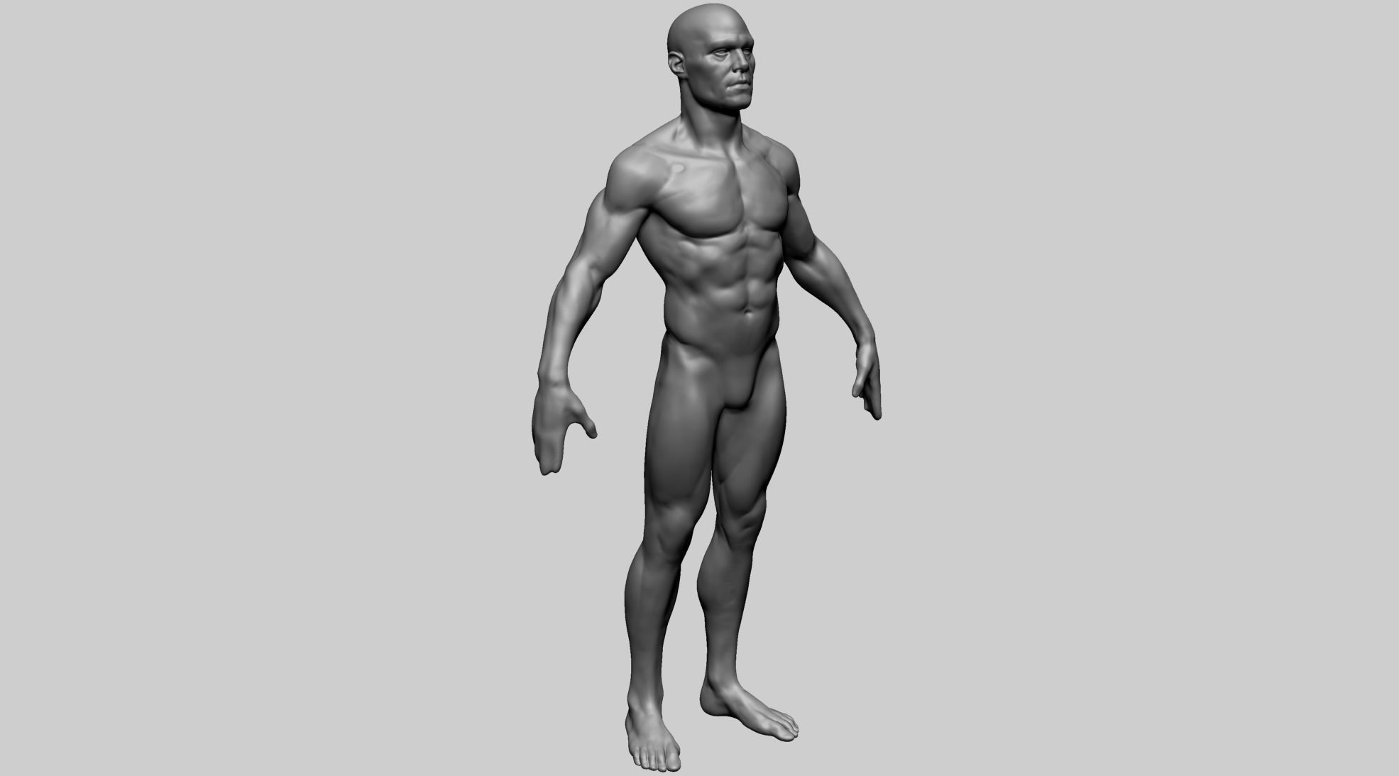 Base Male Anatomy B 3D model_3