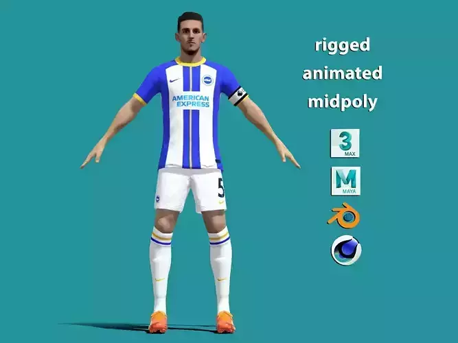 T-P Rigged Lewis Dunk Brighton and Hove Albion