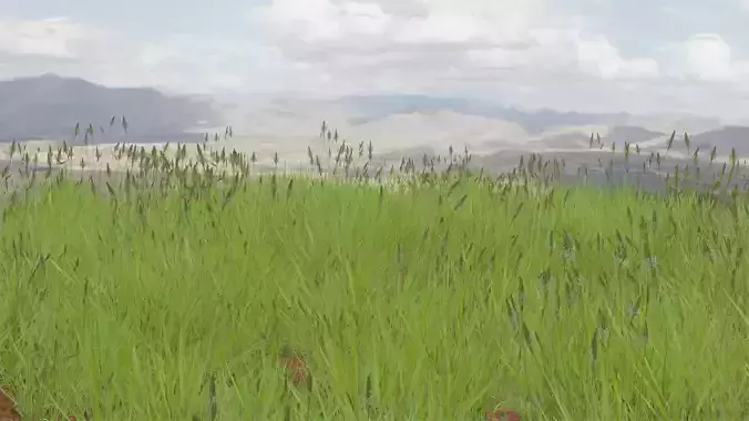 Realistic Grass