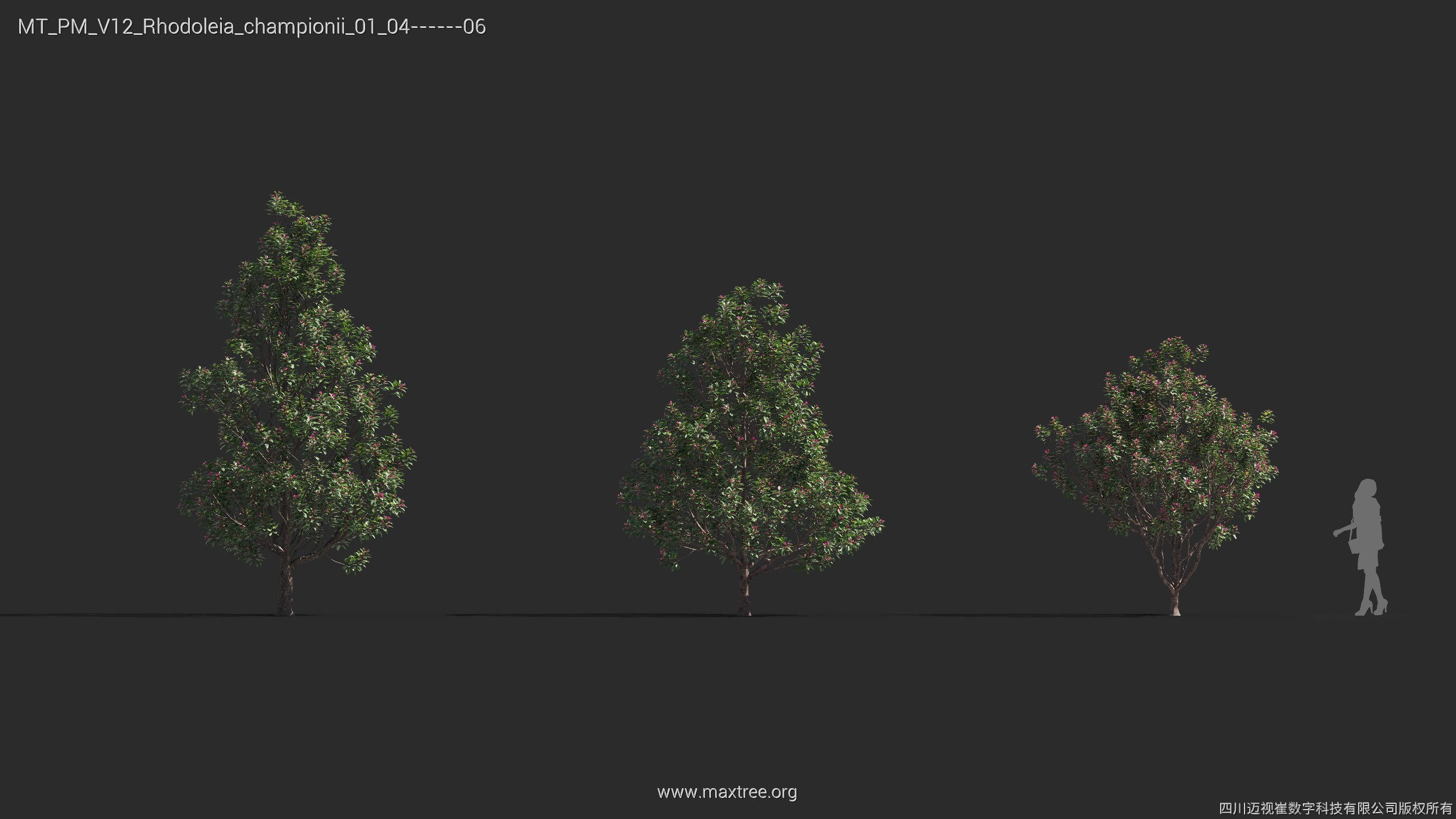 Maxtree Plant Models Vol 12 - Mesh 3D model_26