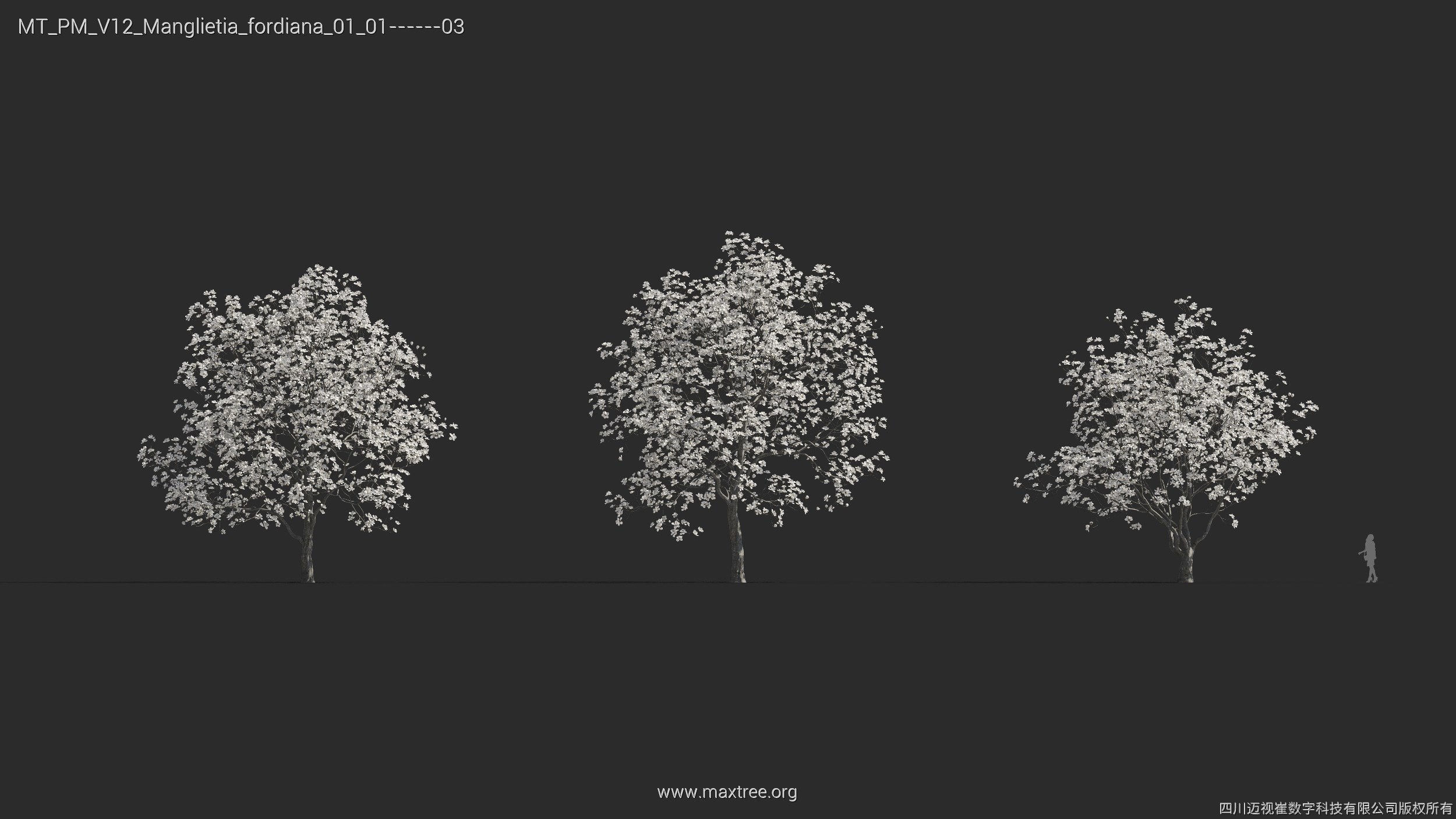 Maxtree Plant Models Vol 12 - Mesh 3D model_21