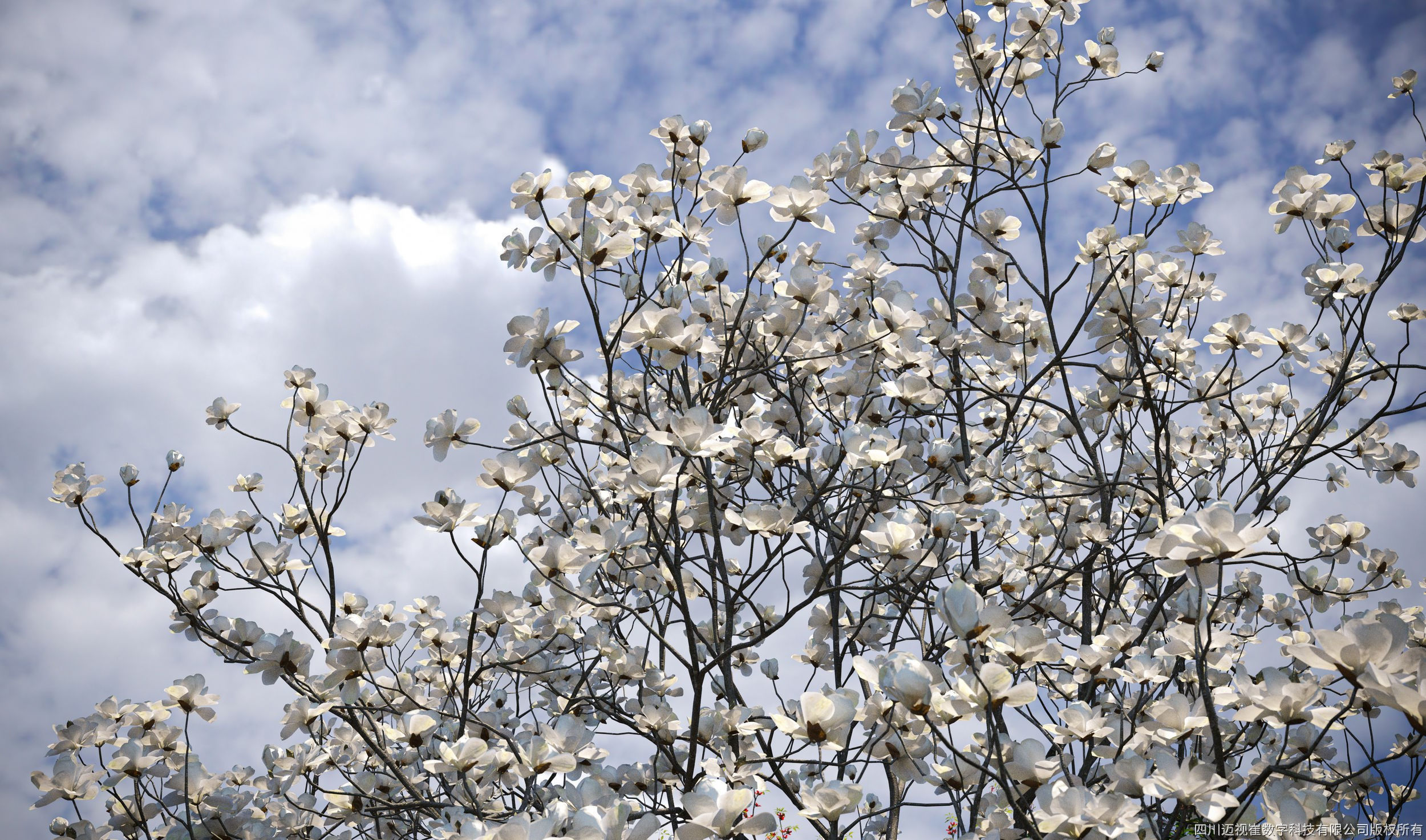 Maxtree Plant Models Vol 12 - Mesh 3D model_2