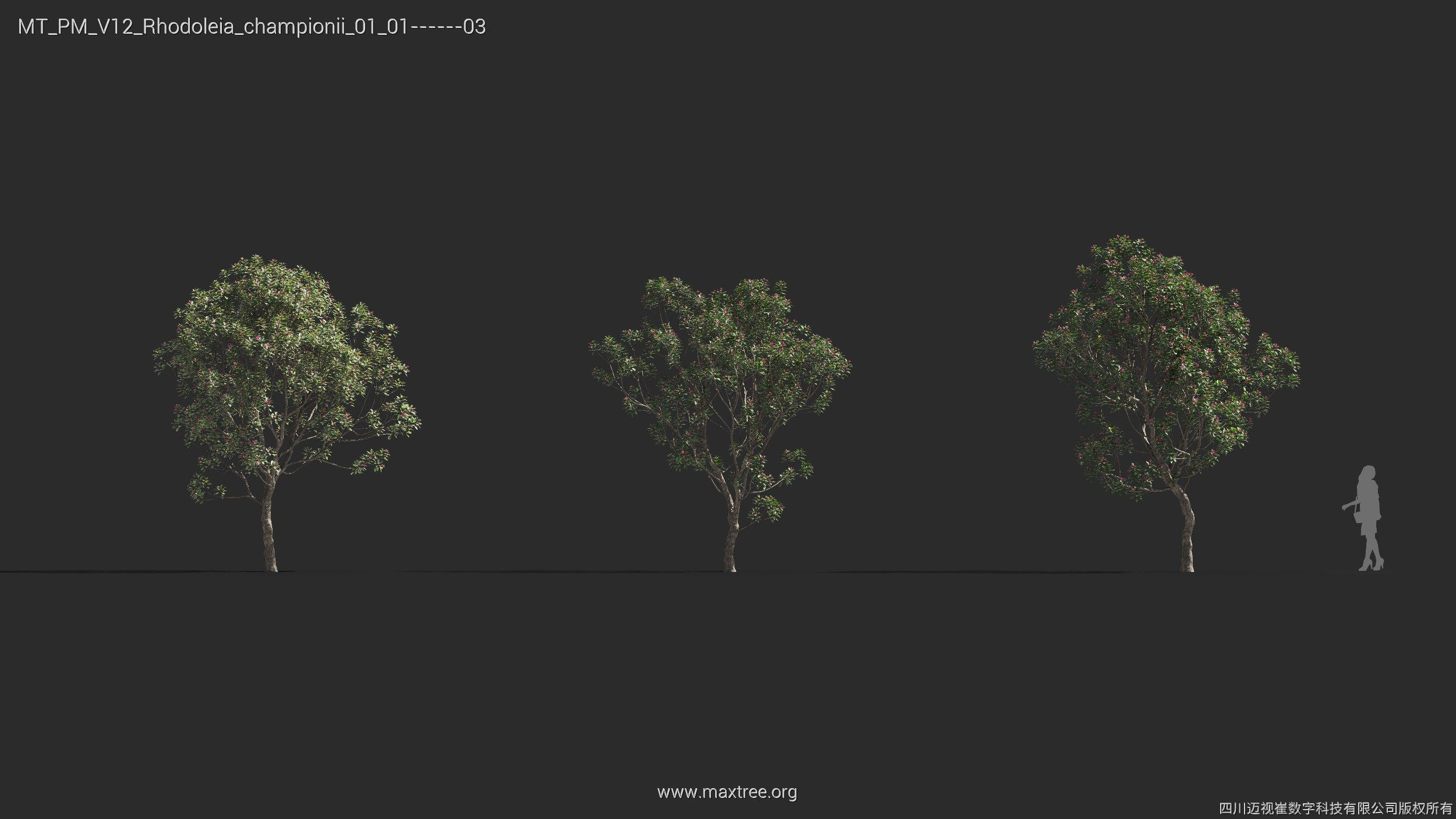 Maxtree Plant Models Vol 12 - Mesh 3D model_25