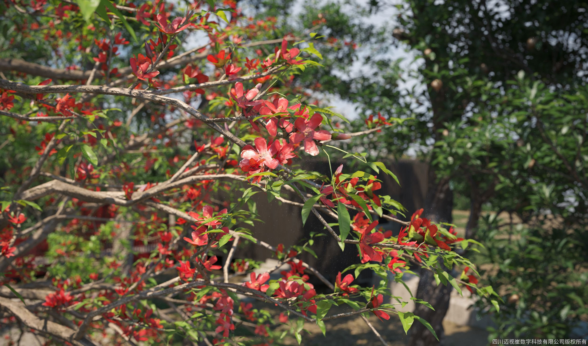 Maxtree Plant Models Vol 12 - Mesh 3D model_3