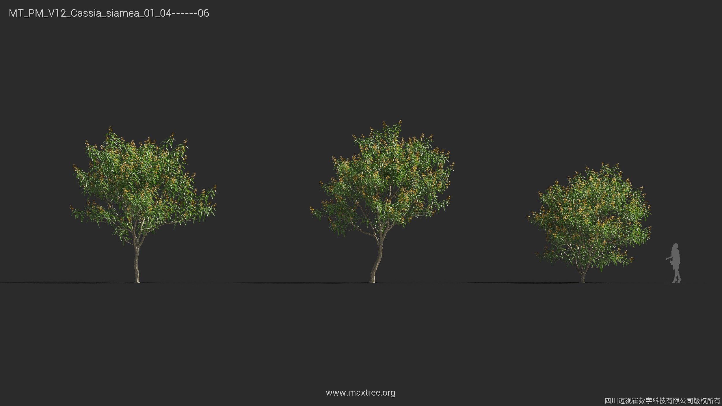 Maxtree Plant Models Vol 12 - Mesh 3D model_14