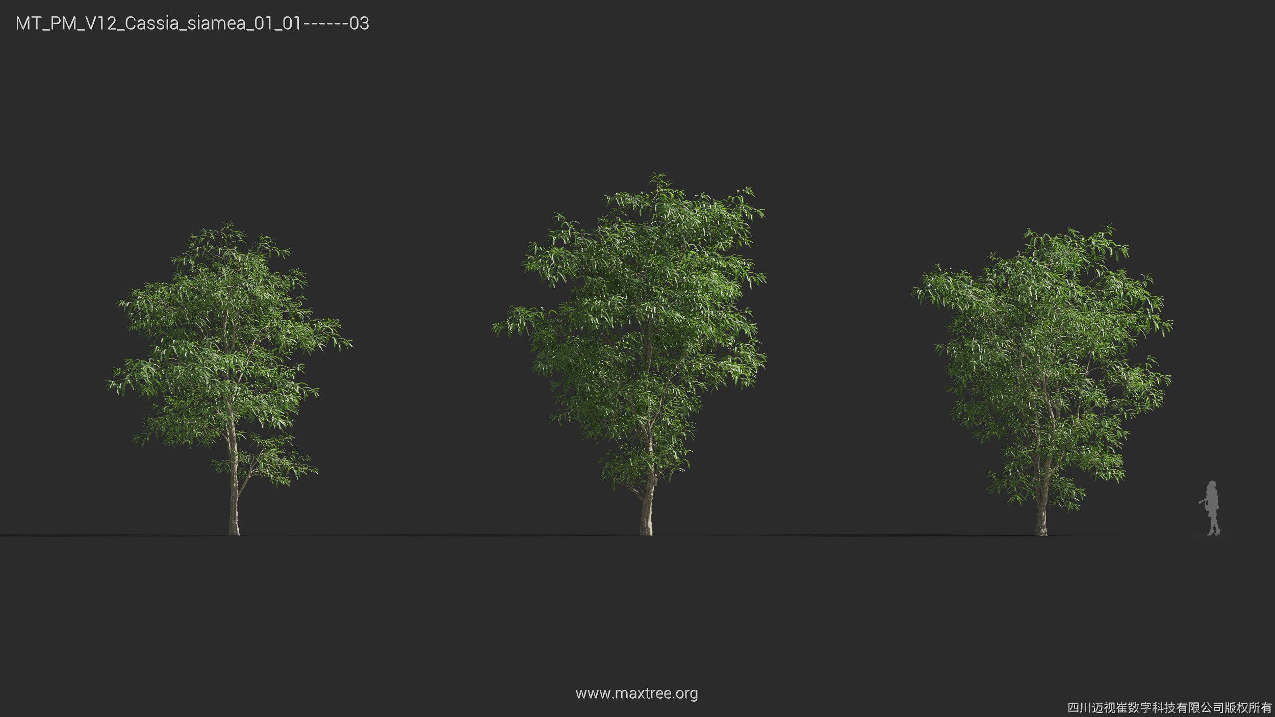 Maxtree Plant Models Vol 12 - Mesh 3D model_13