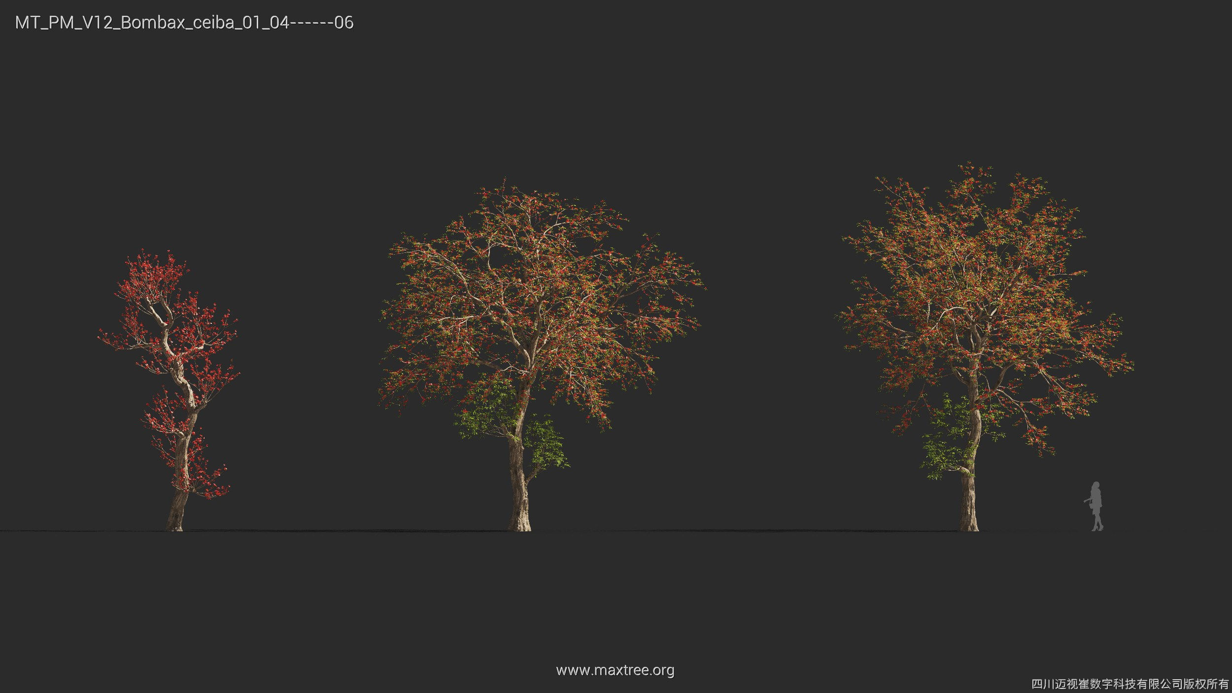 Maxtree Plant Models Vol 12 - Mesh 3D model_12