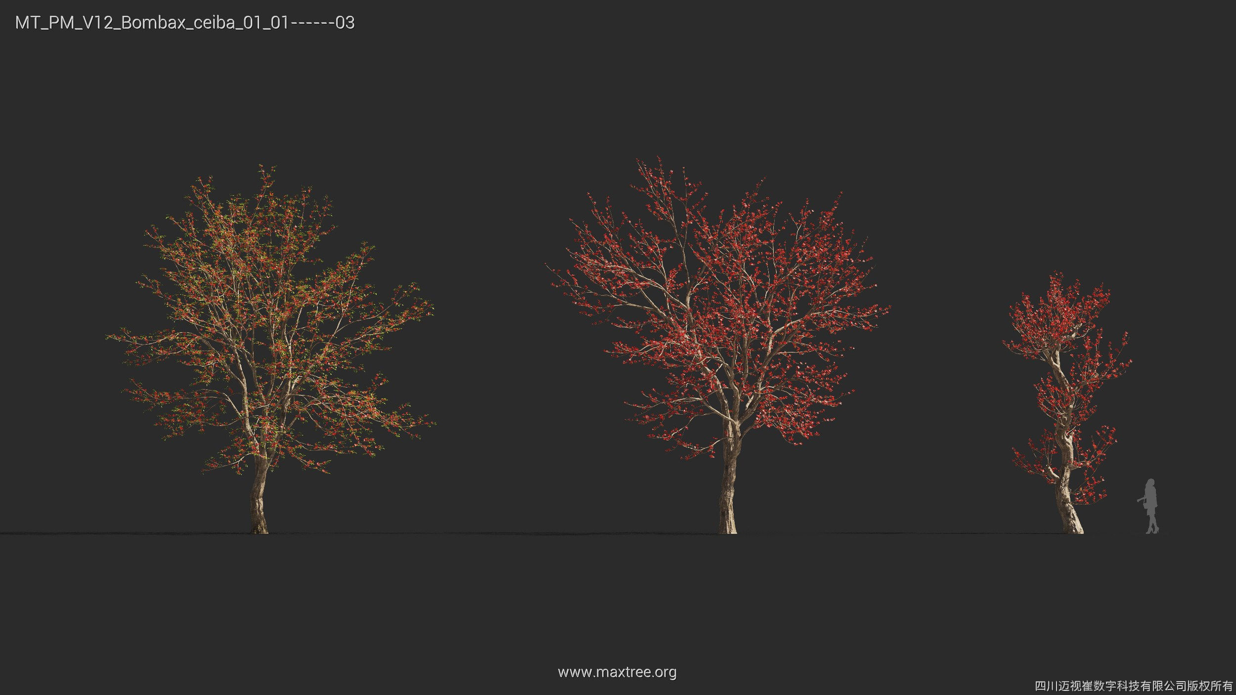 Maxtree Plant Models Vol 12 - Mesh 3D model_11