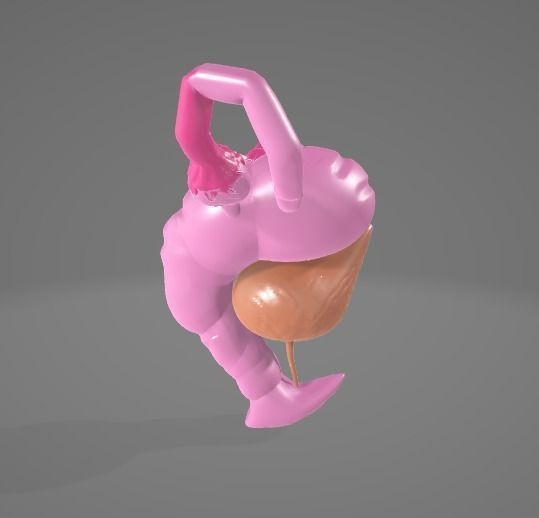 FEMALE REPRODUCTIVE SYSTEM - ANATOMY 3D model_5
