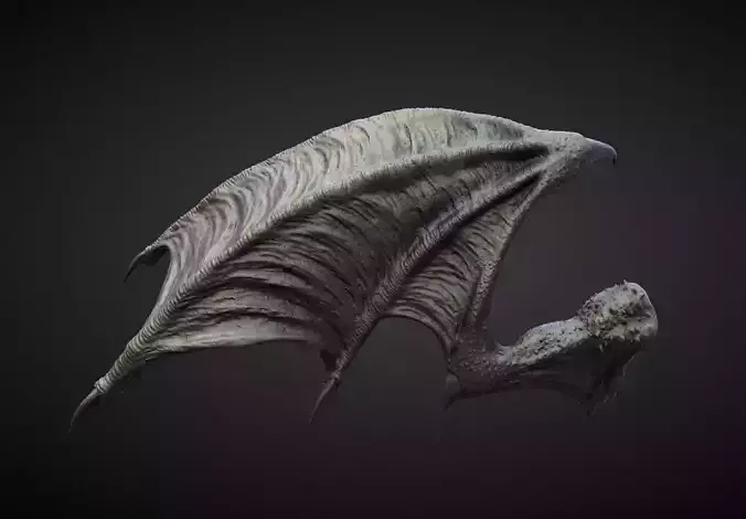 WING10 high poly sculpt 3D model