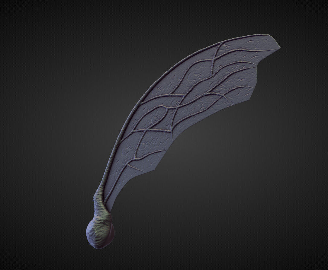 WING15 high poly sculpt 3D model_1