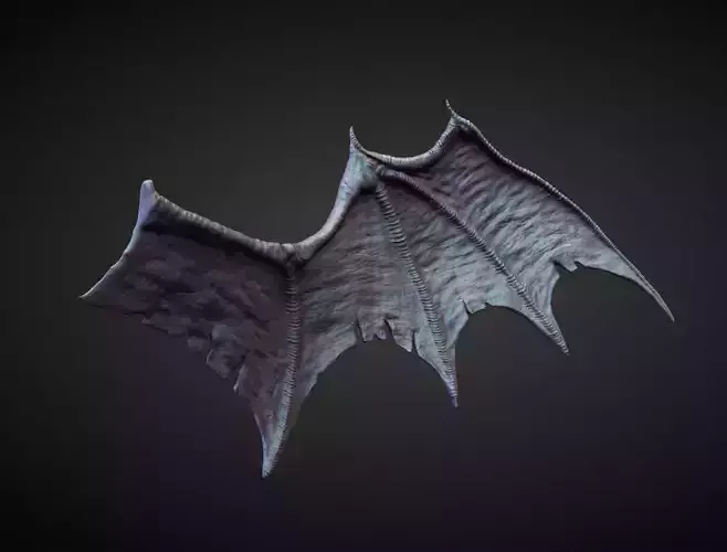 WING16 high poly sculpt