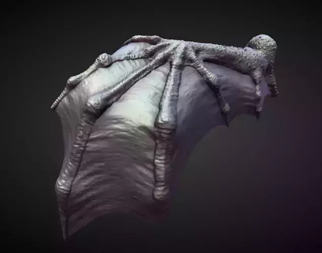 WING2 high poly sculpt