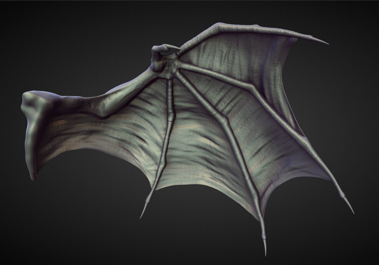 WING7 high poly sculpt 3D model_1