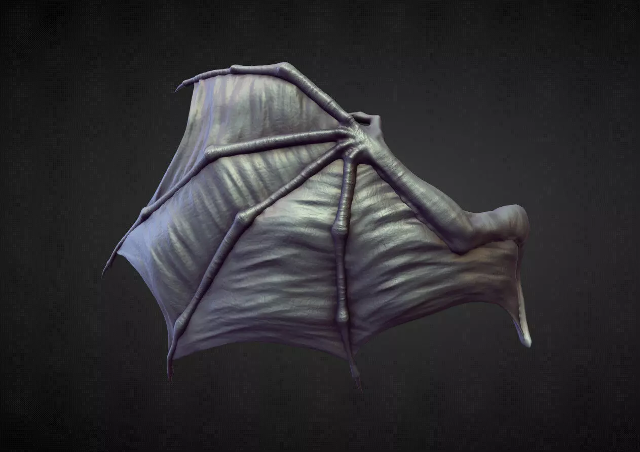 WING7 high poly sculpt 3D model_0