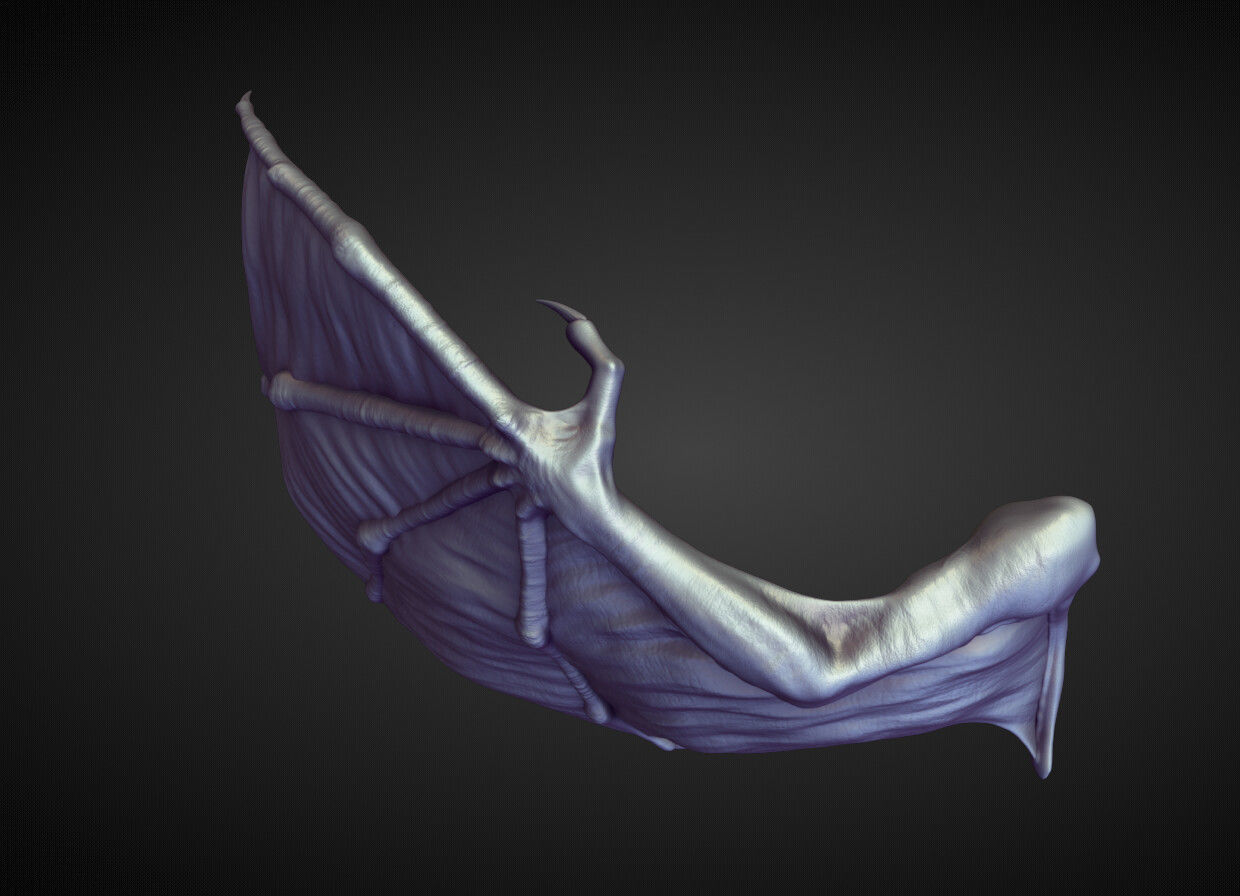 WING7 high poly sculpt 3D model_3