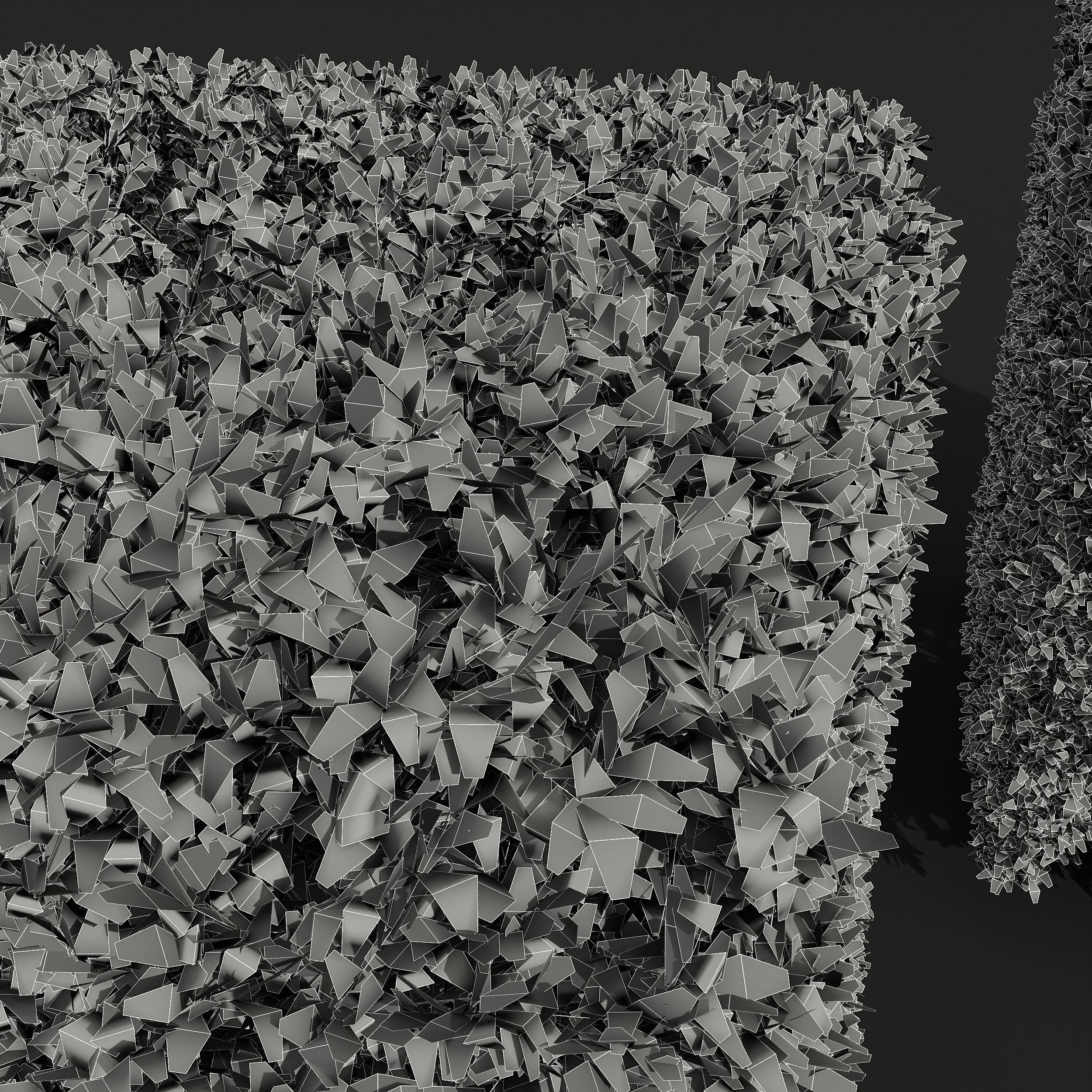 New Plant Ligustrum Quihoui Privet Pruned Box02 3D model_4